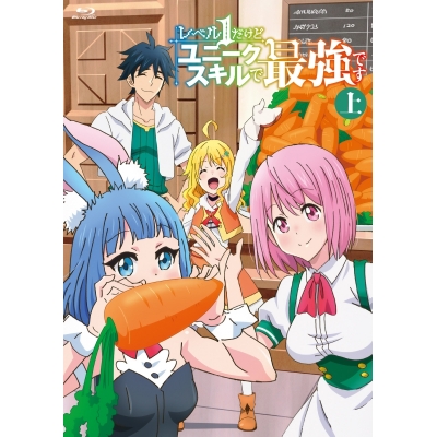 【Blu-ray】TV レベル1だけどユニークスキルで最強です 上巻