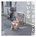 【アルバム】忘れらんねえよ/僕にできることはないかな 初回限定盤 DVD付の画像