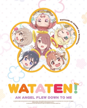Blu-ray】TV 私に天使が舞い降りた! Blu-ray BOX | アニメイト