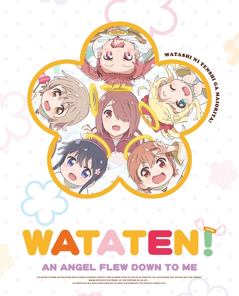 Blu-ray】TV 私に天使が舞い降りた! Blu-ray BOX | アニメイト