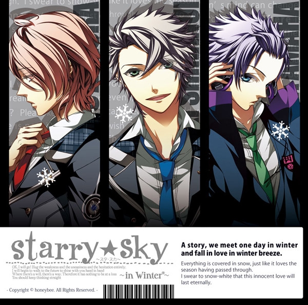 【データ販売】Starry☆Sky in Winter & After Winter ＜PCダウンロード版＞(honeybee)