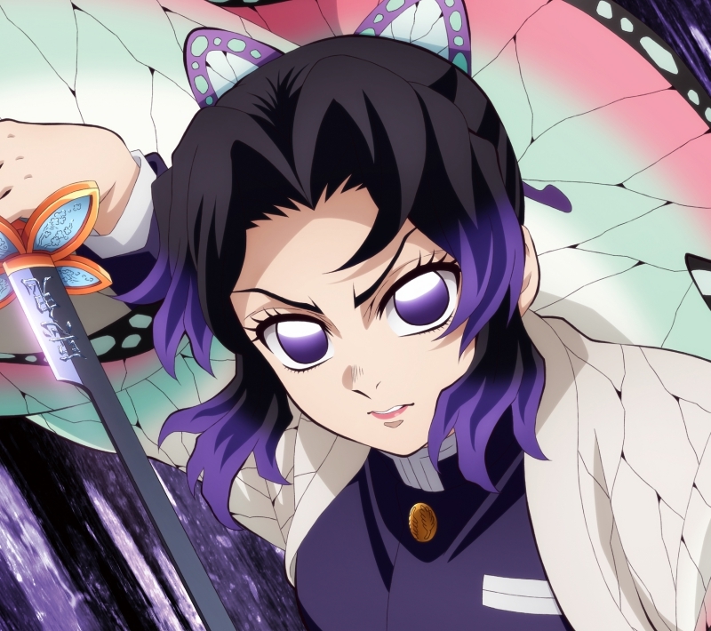 【音楽】劇場版 鬼滅の刃 無限城編 第一章 猗窩座再来 主題歌「太陽が昇らない世界」/Aimer 期間生産限定盤