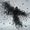 【マキシシングル】Aimer/Black Bird/Tiny Dancers/思い出は奇麗で 通常盤の画像