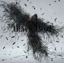 【マキシシングル】Aimer/Black Bird/Tiny Dancers/思い出は奇麗で 初回生産限定盤の画像