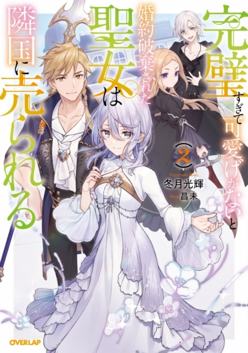 小説 完璧すぎて可愛げがないと婚約破棄された聖女は隣国に売られる 2 アニメイト