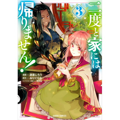 【コミック】二度と家には帰りません!(3)