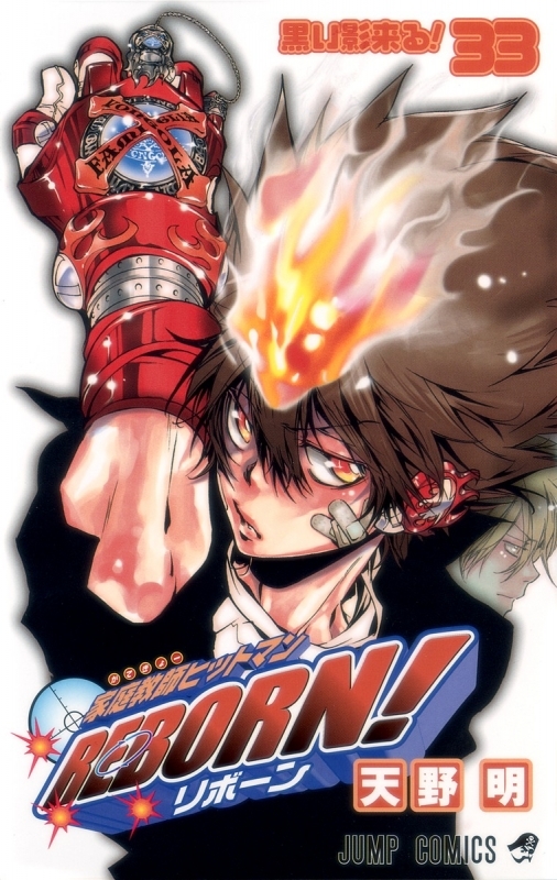 【コミック】家庭教師ヒットマンREBORN!(33)