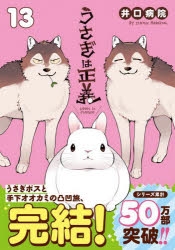 うさぎは正義 13【電子限定描き下ろし漫画付き】 (リラクト