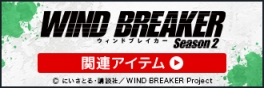 WIND BREAKER