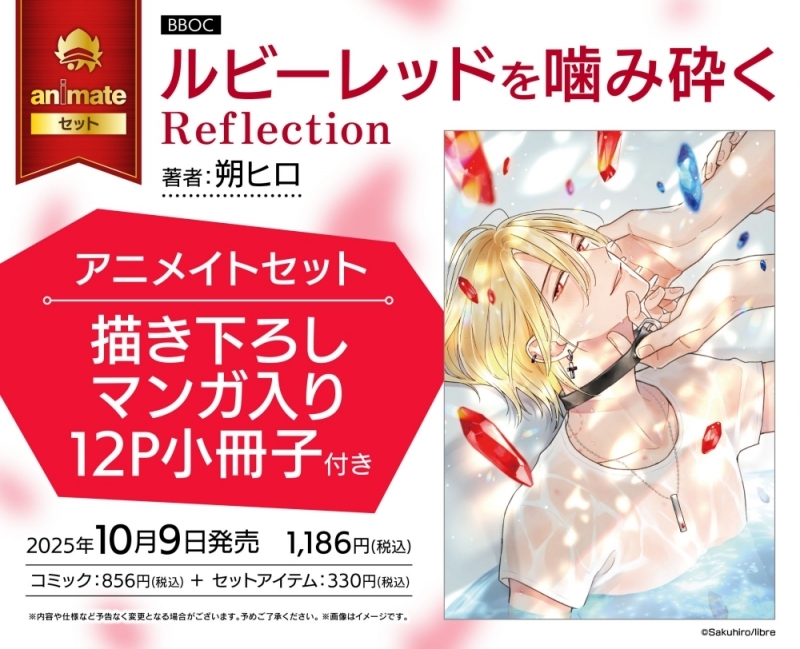 【コミック】ルビーレッドを噛み砕く Reflection アニメイトセット【描き下ろしマンガ入り12P小冊子付き】