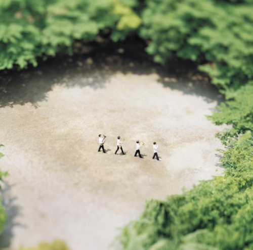 アルバム 栗コーダーカルテット 遠くの友達 アニメイト