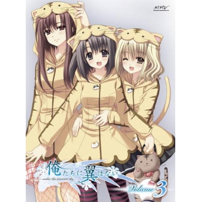 【DVD】TV 俺たちに翼はない 第3巻