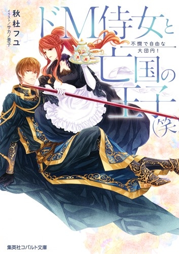 小説 ドm侍女と亡国の王子 笑 不憫で自由な大団円 アニメイト