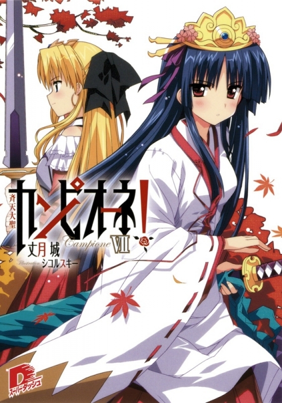 【小説】カンピオーネ!VII 斉天大聖