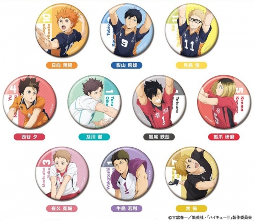 グッズ-バッチ】ハイキュー!! 缶バッジコレクション | アニメイト