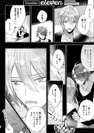 同人誌 特典付 14枚のクッキー アニメイト