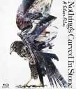 【Blu-ray】Nothing's Carved In Stone/A Silver Filmの画像