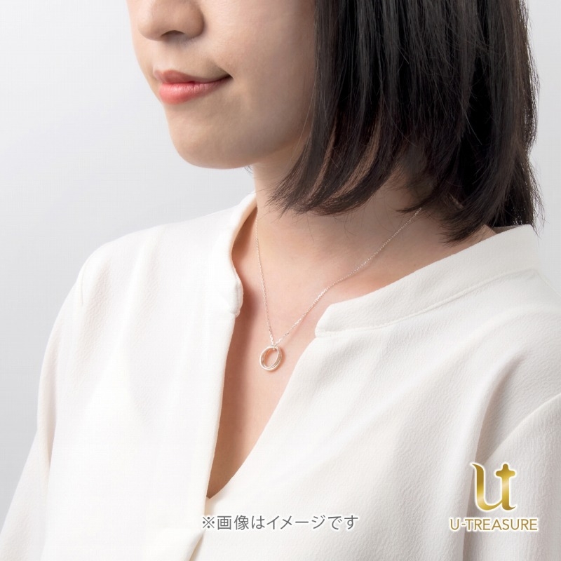 グッズ ネックレス ワンピース ゾロ サンジ ダブルリングネックレス シルバー アニメイト