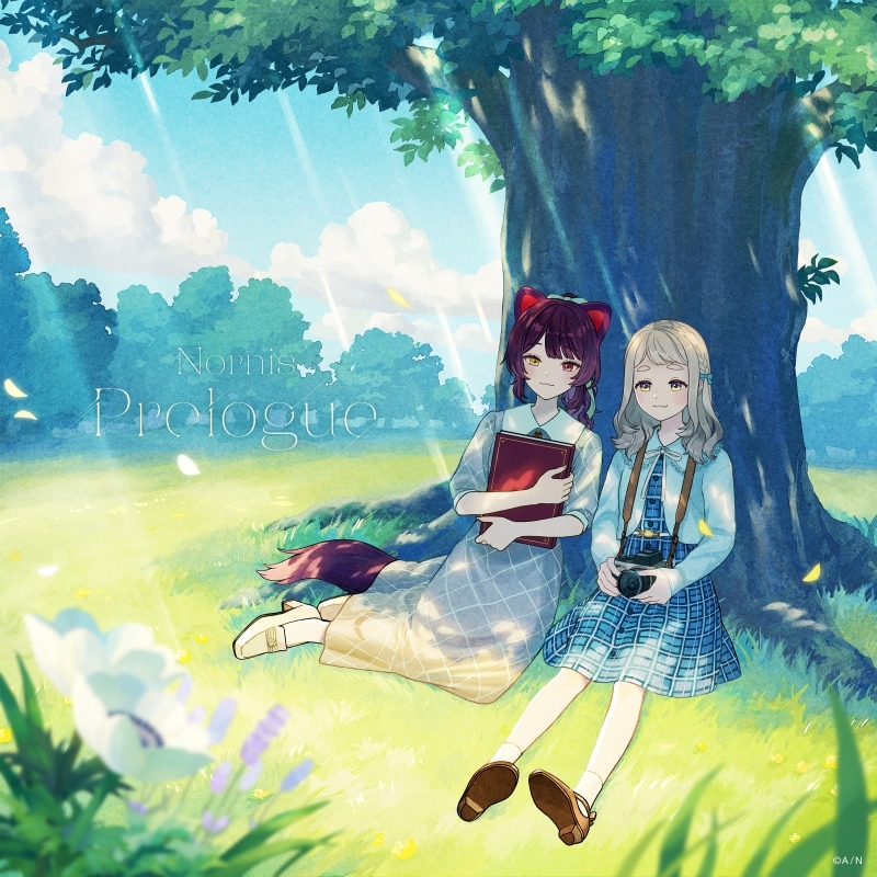 【音楽】TV アニメ「素材採取家の異世界旅行記」OPテーマ「Prologue」/Nornis 【通常盤】