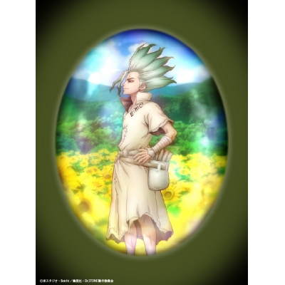 【音楽】TV Dr.STONE SCIENCE FUTURE ED「no man's world」収録EP platinum anthem/音羽-otoha-【完全生産限定盤】