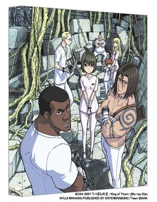 【Blu-ray】映画 いばらの王 -King of Thorn-