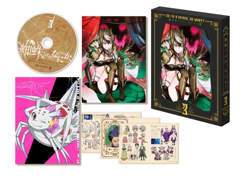 DVD】TV 蜘蛛ですが、なにか? DVD BOX 第3巻 | アニメイト
