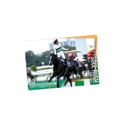 【グッズ-食品】サラブレッドホース コレクション ツインウエハース 第3R