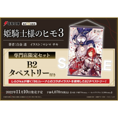 【小説】姫騎士様のヒモ(3) 専門店限定セット【B2タペストリー付き】