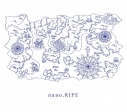 【アルバム】nano.RIPE/シアワセのクツ 初回限定盤の画像