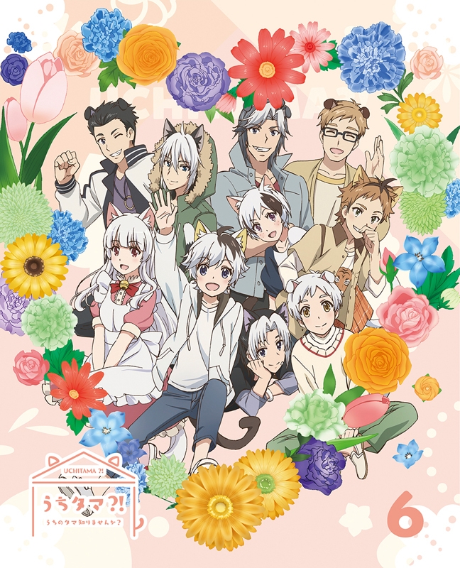 【DVD】TV うちタマ?!~うちのタマ知りませんか?~6 完全生産限定版