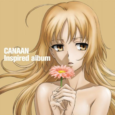 【その他(音楽)】TV CANAAN Inspired album