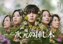【DVD】TV ドラマ 一次元の挿し木 DVD BOXの画像