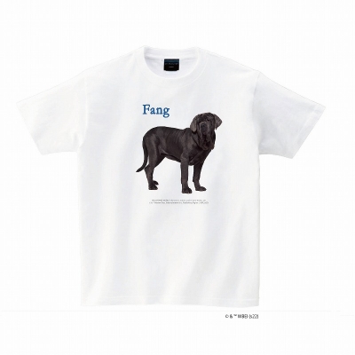 【グッズ-Tシャツ】HARRY POTTER T-SHIRTS CHHP22ST03 ホワイト(S)