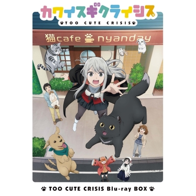 【Blu-ray】TV カワイスギクライシス Blu-ray BOX