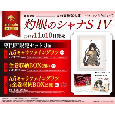 【小説】灼眼のシャナS IV 専門店限定セット【A5キャラファイングラフ付き】