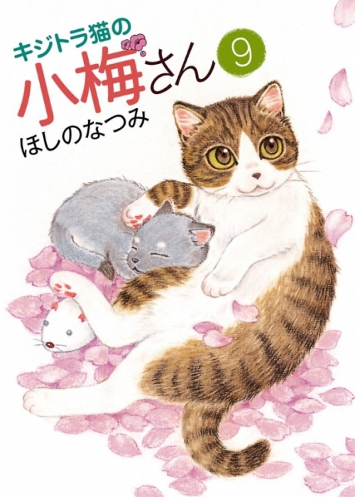 コミック】キジトラ猫の小梅さん(9) | アニメイト
