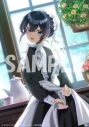 【ポイント還元版(20%)・特典なし】【DVD】TV ヒロイン?聖女?いいえ、オールワークスメイドです(誇)!DVD BOXの画像