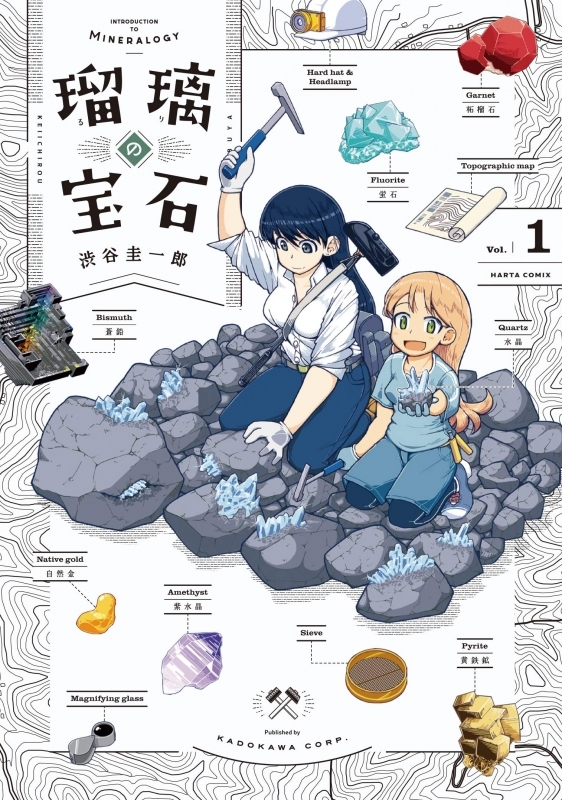 【コミックまとめ買い】瑠璃の宝石【ポイント還元有】