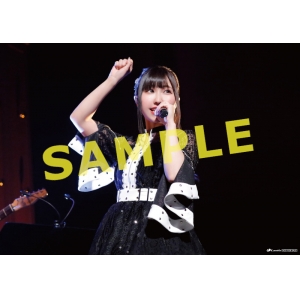 ▲A3クリアポスター