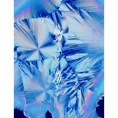 【音楽】TV ガチアクタ ED「灯火」収録アルバム 碧い海/DUSTCELL 初回生産限定