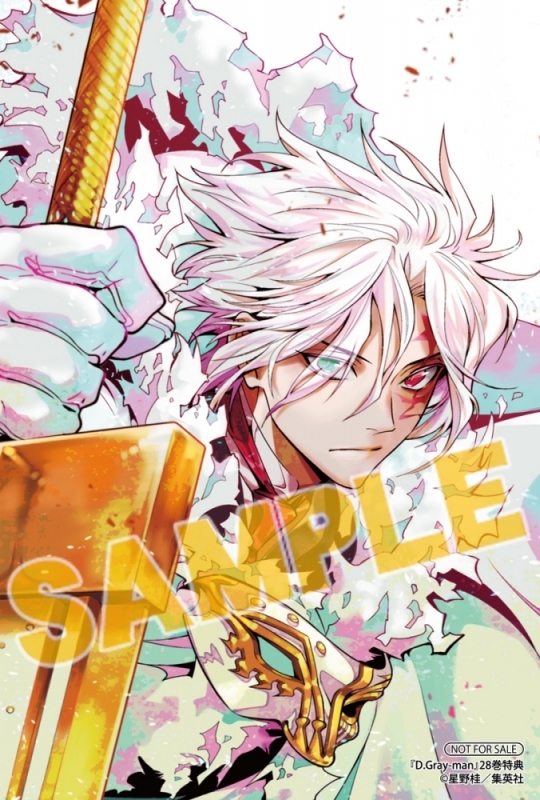 コミック D Gray Man ディーグレイマン 28 アニメイト