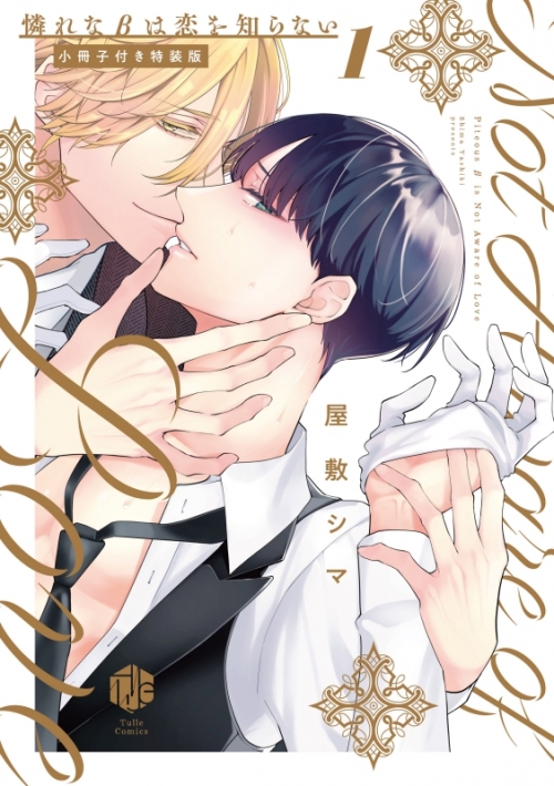 コミック 憐れなbは恋を知らない 1 小冊子付き特装版 アニメイト