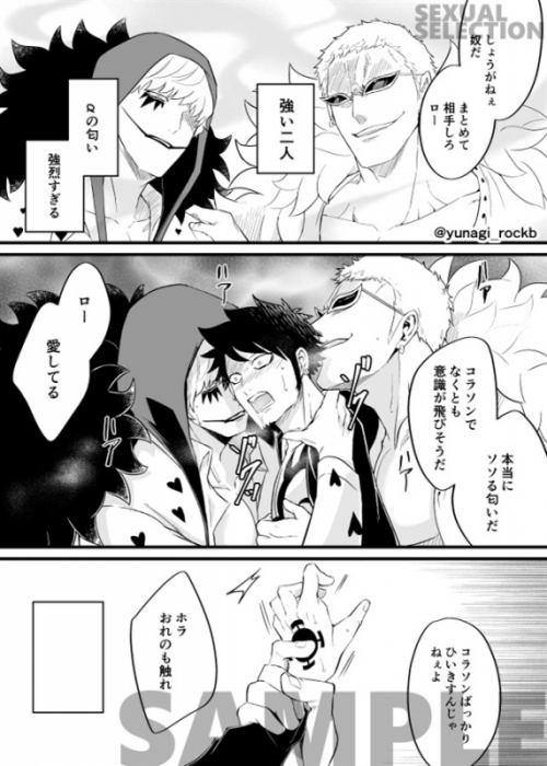 同人誌 専売 Sexual Selection アニメイト