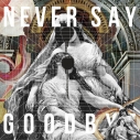 【主題歌】TV ゴールデンカムイ 第四期OP「NEVER SAY GOODBYE feat. Mummy-D」収録 NEVER SAY GOODBYE/ALI 通常盤の画像