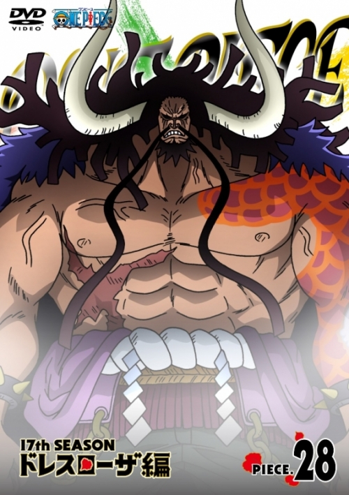 Dvd Tv One Piece ワンピース 17thシーズン ドレスローザ編 Piece 28 アニメイト