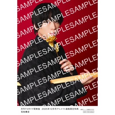【雑誌】月刊TVガイド関東版 2025年12月号【Drama 下载 ダウンロード Download 百度网盘 Mega MediaFire Mp3 CD 分享 感想 翻译通販限定:荒牧慶彦さん 生写真付き】