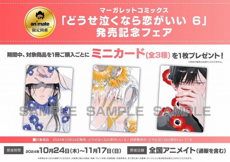 マーガレットコミックス「どうせ泣くなら恋がいい 6」発売記念フェア  