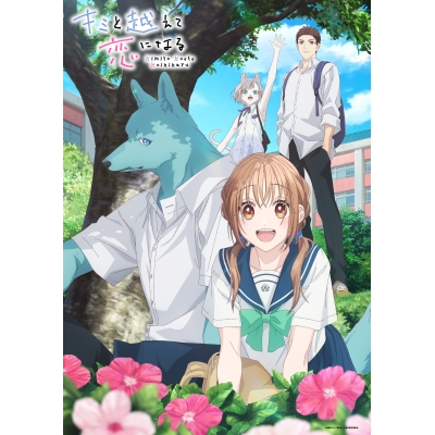 【Blu-ray】TV キミと越えて恋になる Blu-ray 上巻