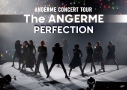 【DVD】アンジュルム/アンジュルム CONCERT TOUR -The ANGERME- PERFECTIONの画像
