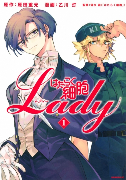 コミック はたらく細胞lady 1 アニメイト コミック はたらく細胞lady 1 アニメイト